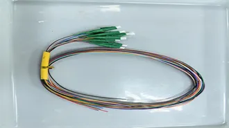 CRSUS100492_grabs 1.